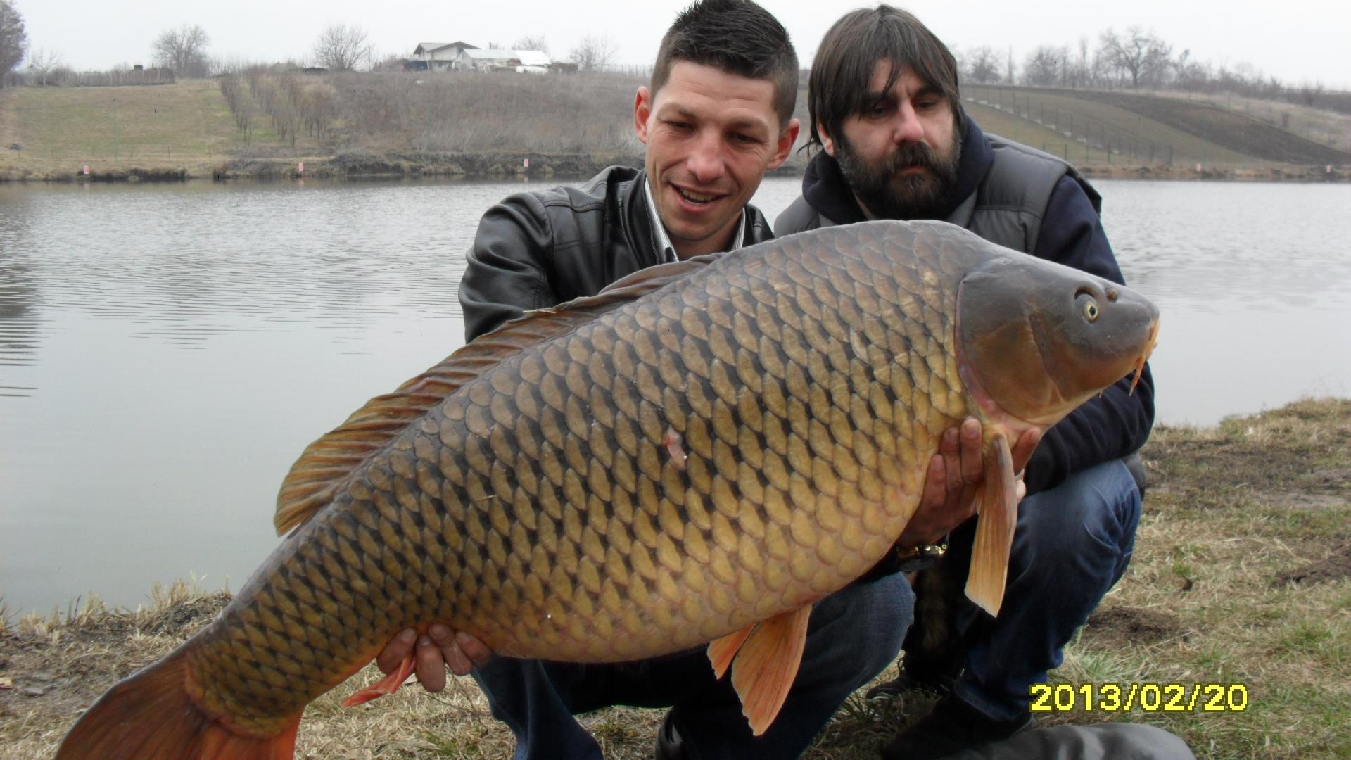 POPULARI MV2 - 2013 - 20.02.2013 - Crap 22 kg